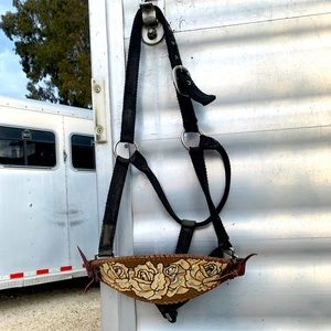 Rodeo Quincy Horse Bronc Halter